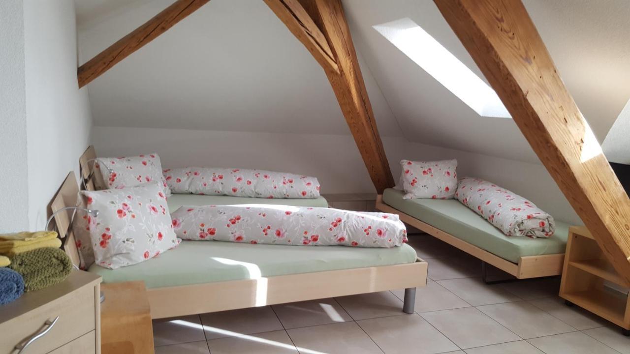 Hotel Loewen Monchaltorf Экстерьер фото
